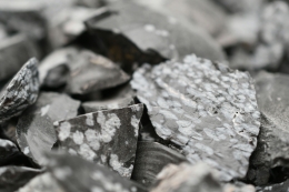 Snowflake Obsidian Rough Stones