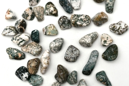 Baumachat Trommelsteine