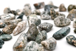 Arborescent Agate Tumbled Stones