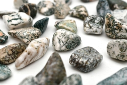 Arborescent Agate Tumbled Stones