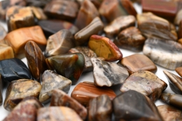 Petrified Wood Tumbled Stones