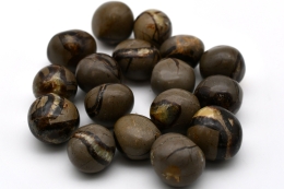 Septarie Trommelsteine