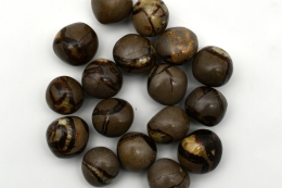 Septarie Trommelsteine