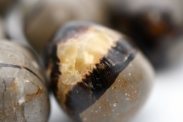 Septarie Trommelsteine