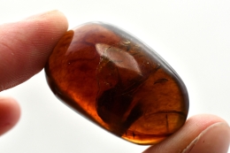 Amber Tumbled Stones
